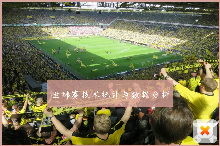 世锦赛技术统计与数据分析