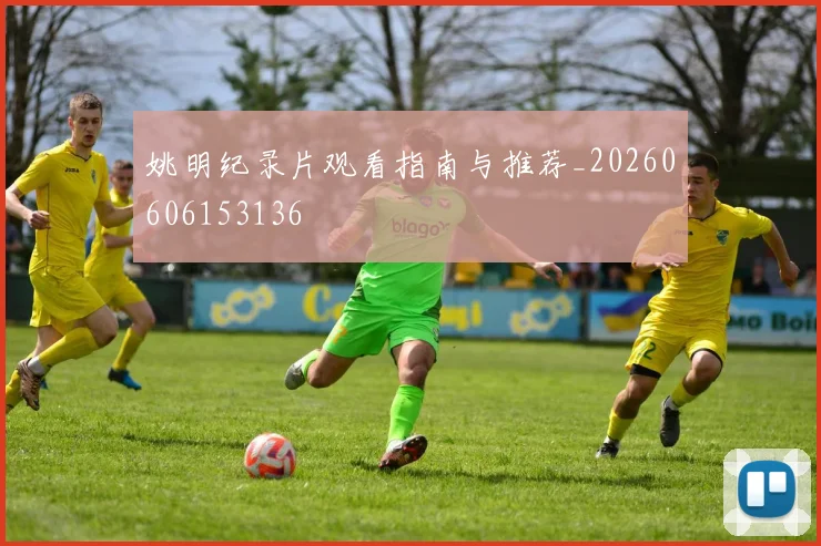 姚明纪录片观看指南与推荐_20260606153136