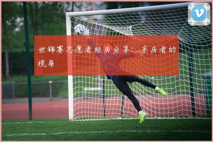 世锦赛志愿者经历分享：亲历者的视角